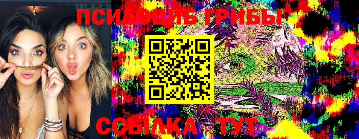 Нефтекамск  Псилоцибиновые грибы GOLDEN TEACHER  Галлюциногенные грибы Psilocybe  Вход с VPN 
